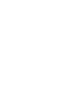 Logo 7